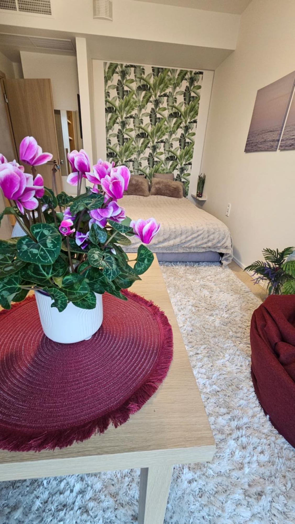 Appartamento Vektor 4room *